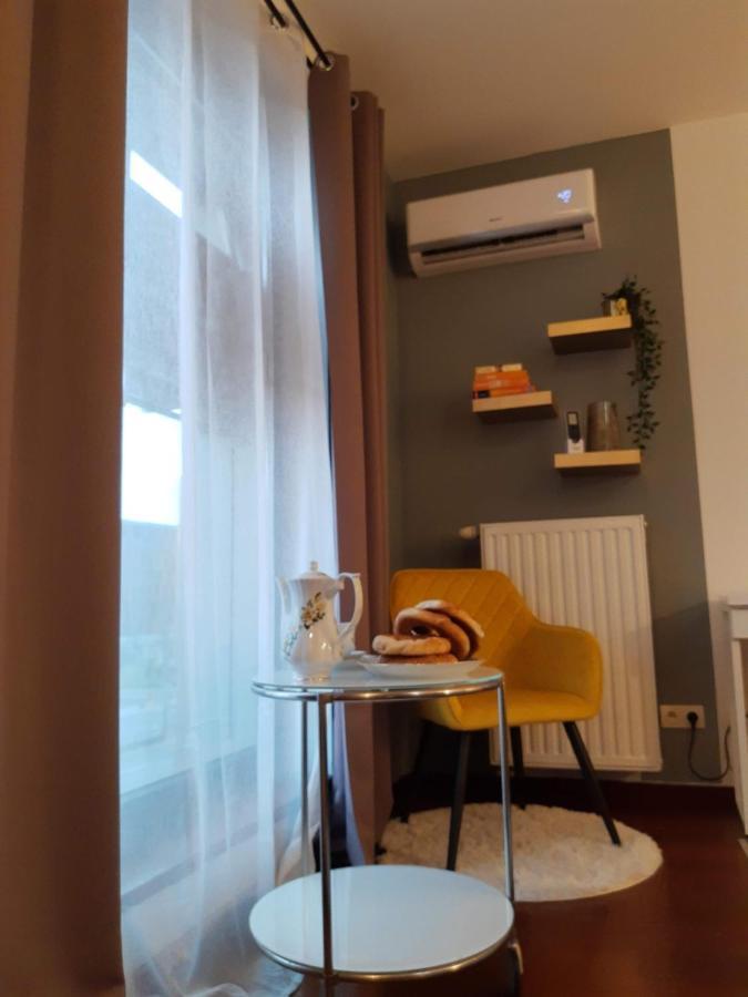 Klimatyzowany apartament przy Dworcu Głównym Cracóvia Exterior foto